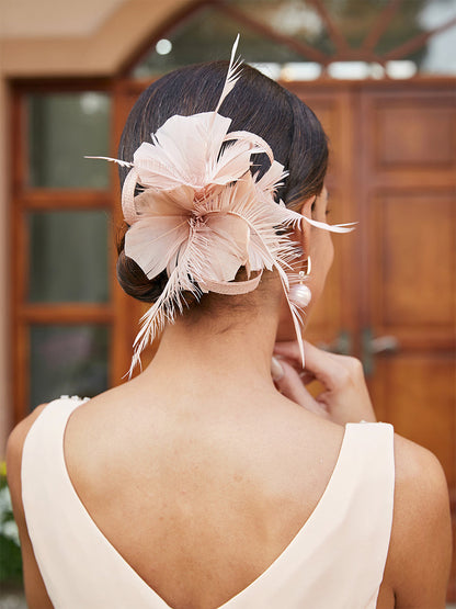 Fascinateurs Classiques En Tulle avec Plumes